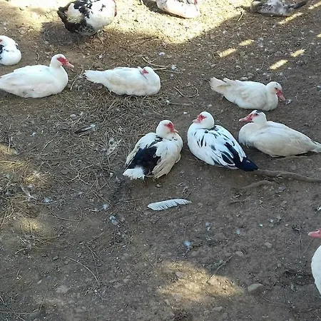 Nyaraló Quinta Lameiras *