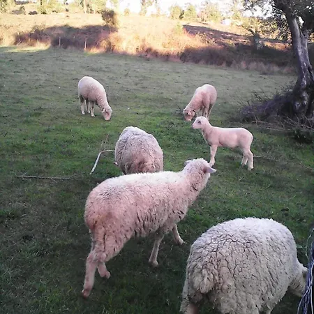 Quinta Lameiras * Sao Pedro de Tomar