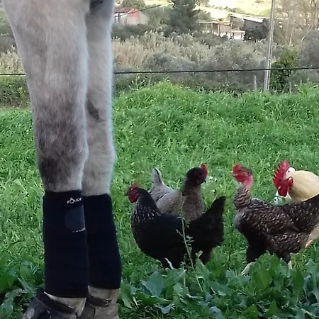 Hébergement de vacances Quinta Lameiras