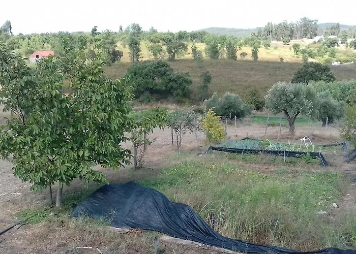 Quinta Lameiras 펜션 *