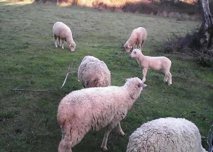 Quinta Lameiras * Sao Pedro de Tomar